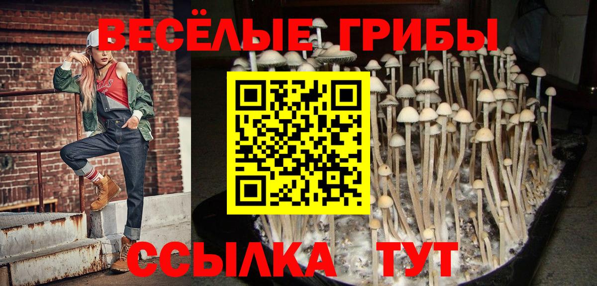 Шатура  Галлюциногенные грибы ЛСД  Вход с VPN 